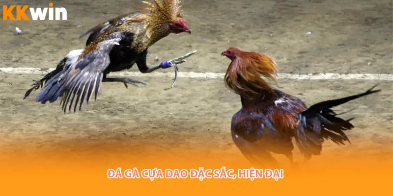 dac-sac-hien-dai-da-ga-cua-dao