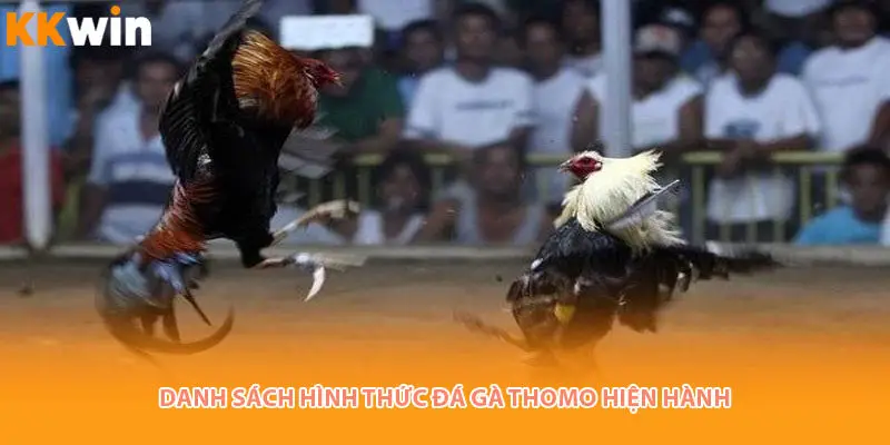 danh-sach-da-ga-thomo