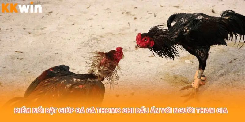 diem-noi-bat-da-ga-thomo