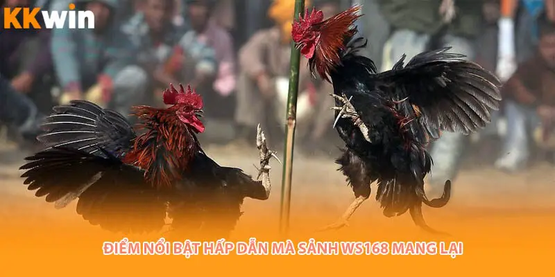 diem-noi-bat-hap-dan-ws168