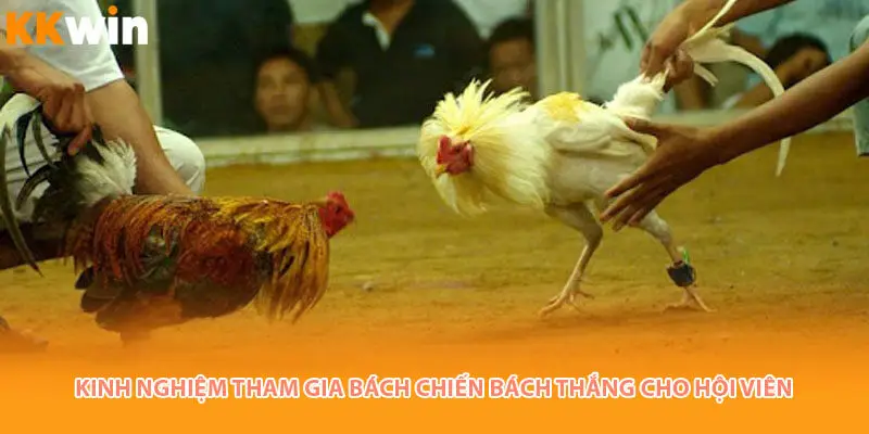 kinh-nghiem-da-ga-kkwin