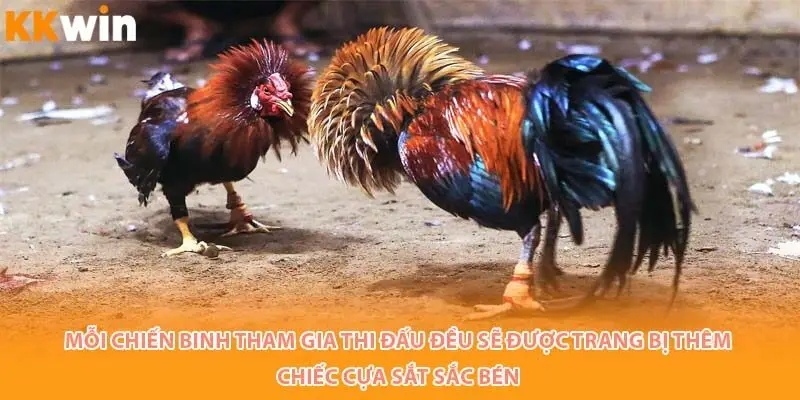 moi-chien-binh-da-ga-cua-sat