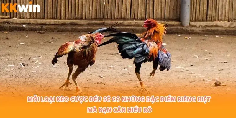 moi-loai-da-ga-cua-sat