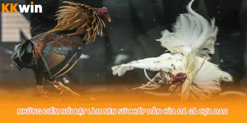 nhung-diem-da-ga-cua-dao