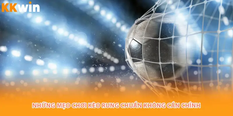 nhung-meo-meo-choi-keo-rung