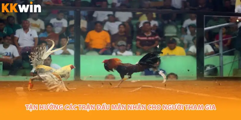 tan-huong-da-ga-kkwin